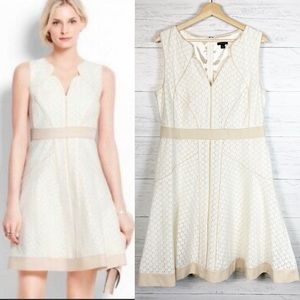 Ann Taylor • Seamed Eyelet Fit and Flare Dress 12